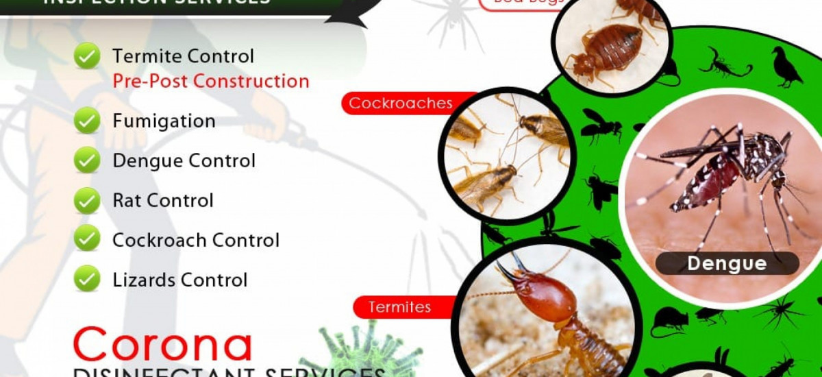 termite-proofing-and-pest-solutions-pest-control-small-1